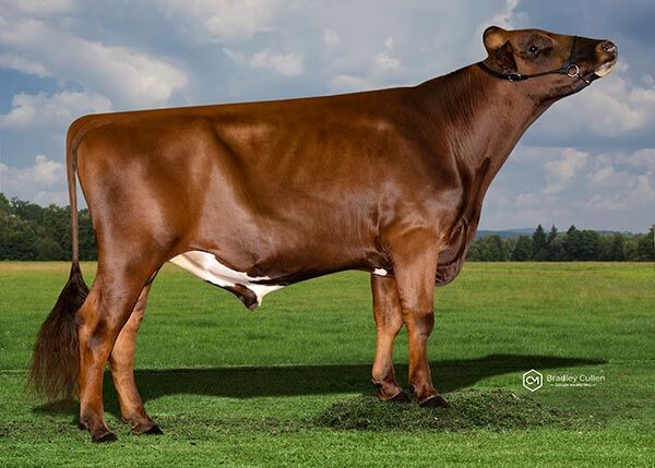 Marnus